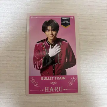 에비라이 트레이딩 카드 초특급 카시와기 하루