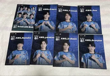[낱개 판매] 제5인격 IJL AWG 모음