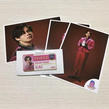 초특급 카이 에비라이 랜덤 네임 배지 브로마이드 세트