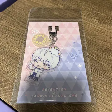 SEVENTEEN 산리오 돈키 콜라보 키링 호시 HOSHI