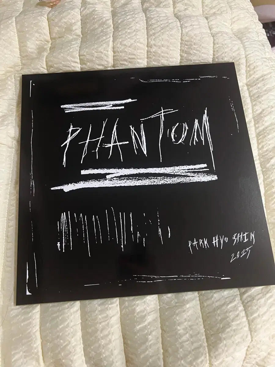 Phantom Park Hyo Shin LP Photobook