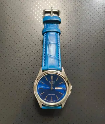 CASIO 쿼츠 손목시계 파랑