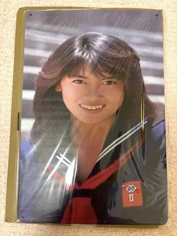 [새상품] 나카야마 미호 양철 간판 아이돌 미포린