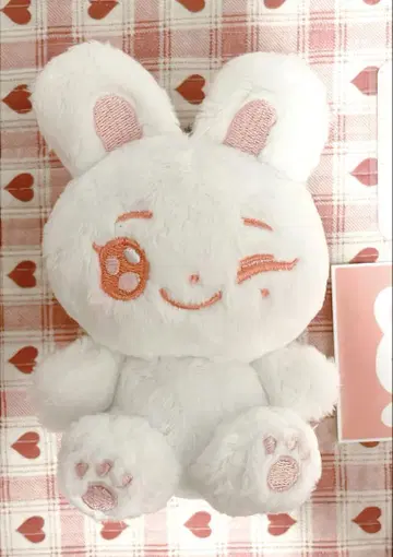 ENHYPEN 소누 인형