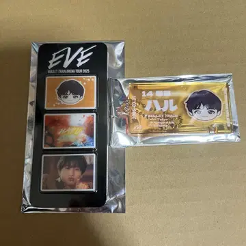 초특급 하루 EVE 랜덤 포토 그레이 부품 티켓 키링