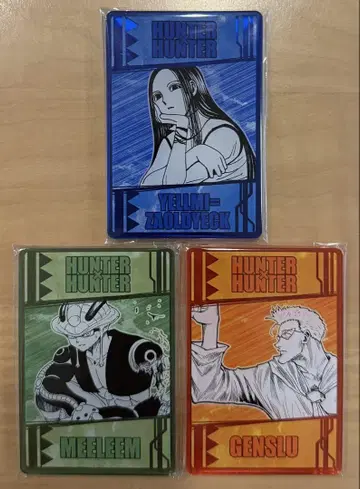 HUNTER x HUNTER 염능력 카드 컬렉션 이르미 메르엠