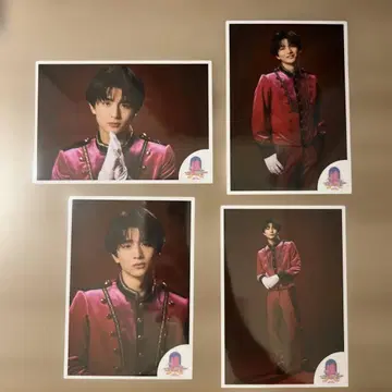 에비라이 초특급 하루 브로마이드 컴프