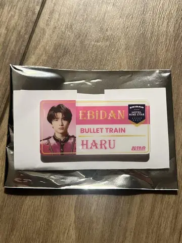 네임 배지 하루