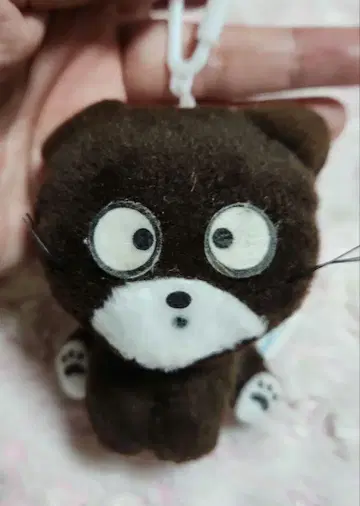 베이 아가씨는 말괄량이 레트로 인형 레어 당시 물품 산쵸메