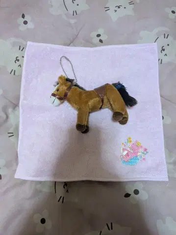 사에코 나스 팜