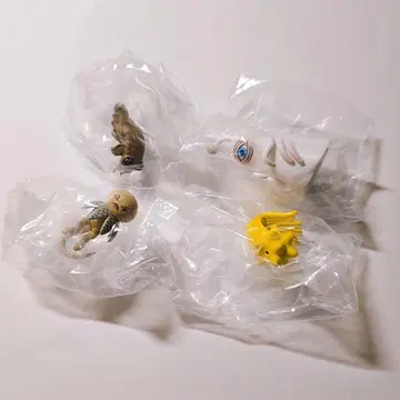히구치 유코 putitto 외눈박이 아노마로 츠치그리 불가사리