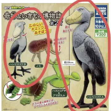 이상한 동물 박물지 제2쪽 하비로코우 A.B