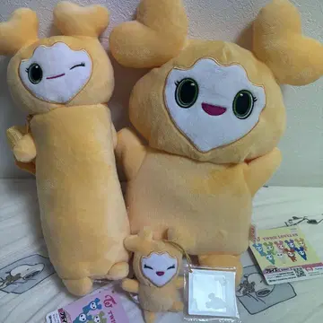 트와이스 지고 지효 세트