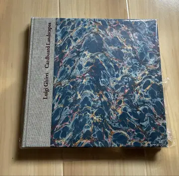 luigi ghirri cardboard landscapes 기리 전시회