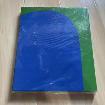Ellsworth Kelly / Red Green Blue 아트 도서