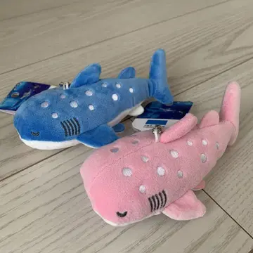오키나와 츄라우미 수족관 기념품