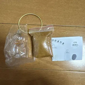 우리 아이의 털뭉치, 갈색과 노란색의 털이 섞인 고양이