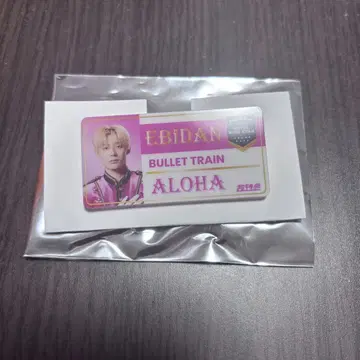 EBiDAN The LIVE 2025 이름표