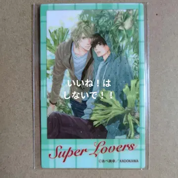 아베 미유키 제비뽑기당 SUPER LOVERS 포토풍 카드 1