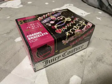 Juicy Couture 참 팔찌 박스