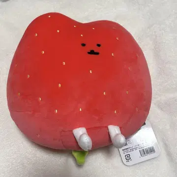 딸기 봉제 인형 C상 나가노 복권