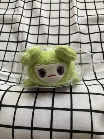 트와이스 존영 존브리 백 참