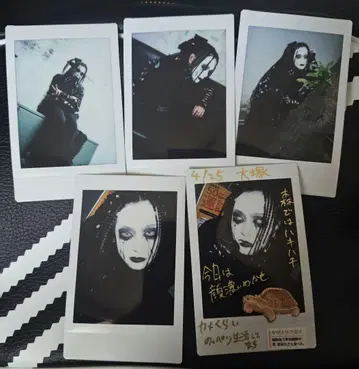 DAMNED/일음/체키/5매 세트/댓글 포함