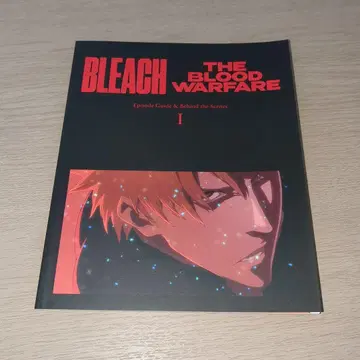 BLEACH 소책자 40페이지