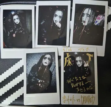 DAMNED/이치네/폴라로이드/5매 세트/코멘트 포함