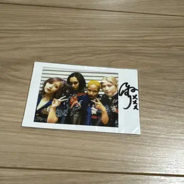여왕벌 폴라로이드