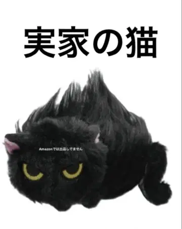 가챠 낯을 가리는 고양이 봉제 인형 본가 고양이 (크로)