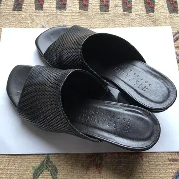 스페인산 뮬