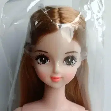 사야카 센터 가르마 오타노시미 인형 리카짱 캐슬 27cm