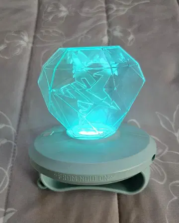 SHINee 공식 펜라이트