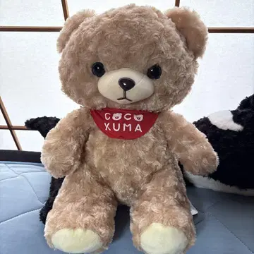COCO KUMA 인형 약 30cm