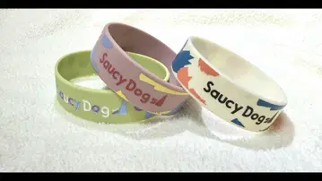saucy dog 고무 밴드 라바반 세트 판매