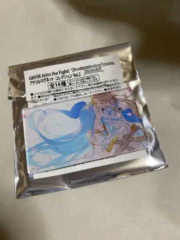 GBVSR 아크릴 마그넷 컬렉션 Vol.2