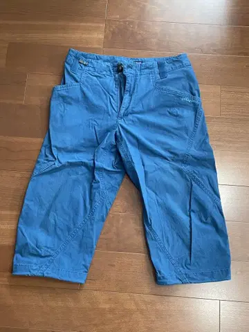 patagonia 파랑 숏팬츠