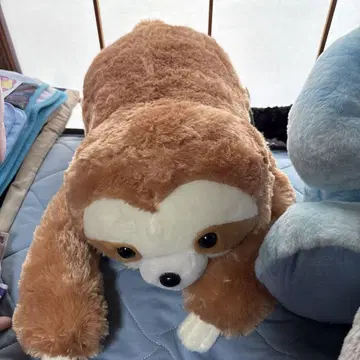 나무늘보 인형 중형