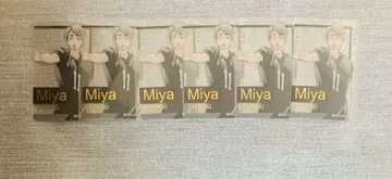 하이큐 미야지