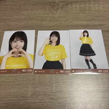 노기산 46 마스다 미리온 생사진 완전 세트