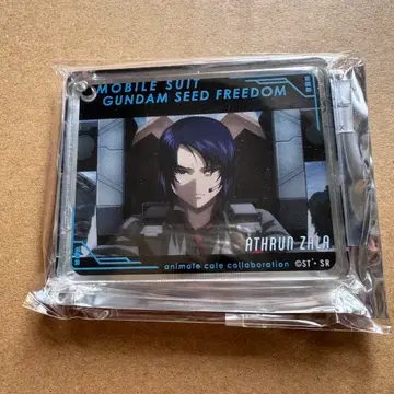 건담 시드 프리덤 애니메이트 카페 콜로타 아스란