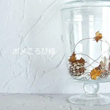 포메코로비 님
