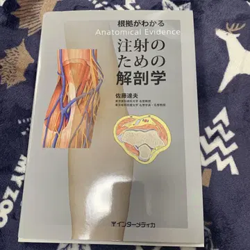 근거를 알 수 있는 주사를 위한 해부학