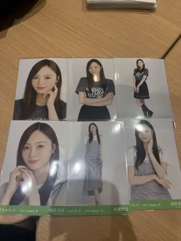 우메자와 미나미 브로마이드