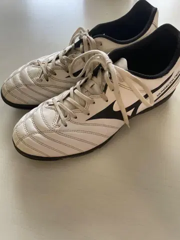 미즈노 축구 트레이닝 슈즈 26cm 모나르시다 네오