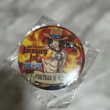 에이스 벌스데이 캔뱃지 원피스 타워