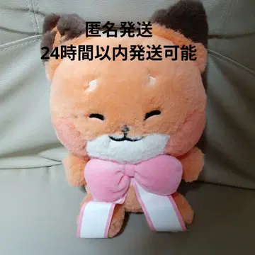 zb1 제로니 zeroni 더으니니 PLUSH 리본 튜니니