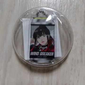 WIND BREAKER 아크릴 키링