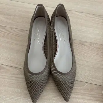 포인트드 네트 펌프스